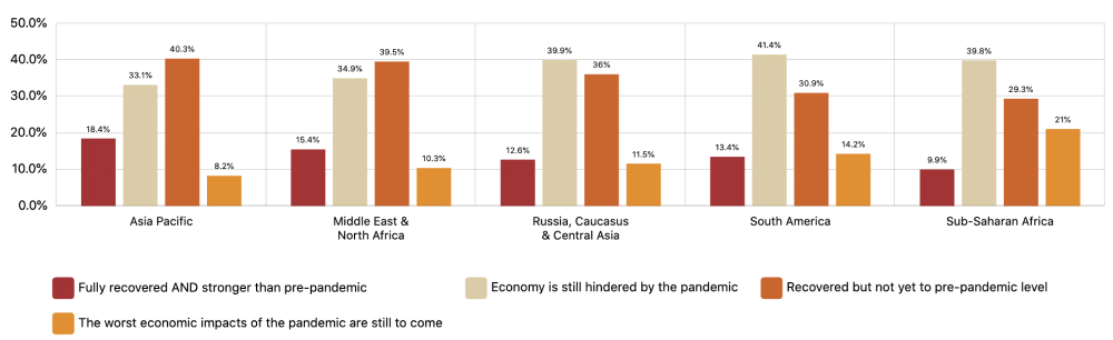 Emerging Markets Survey Chart